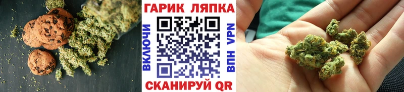 цены наркотик  Новоржев  Cannafood конопля 