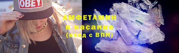 молекула духа Богданович