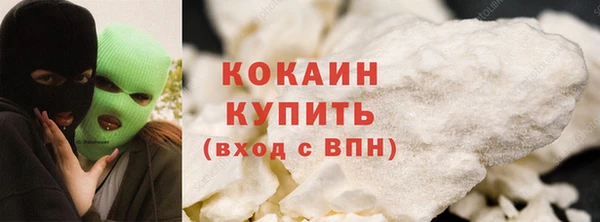 прущие грибы Володарск