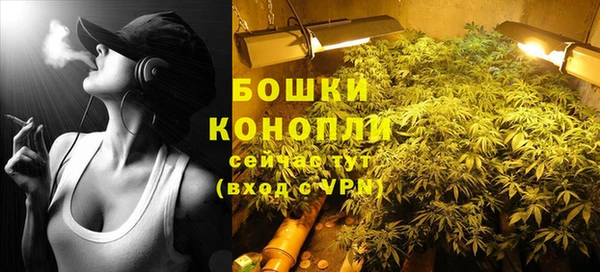 стаф Волоколамск