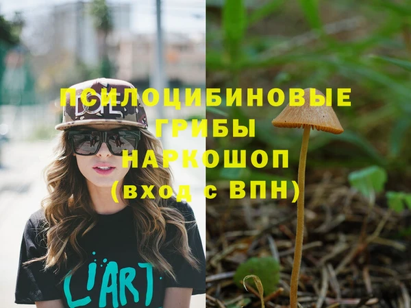 ПСИЛОЦИБИНОВЫЕ ГРИБЫ Волосово