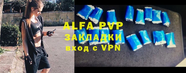 прущие грибы Володарск